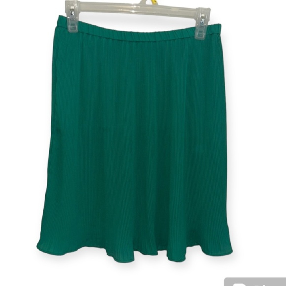 Banana republic women’s XS pleated green skirt